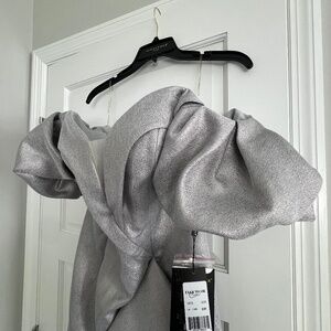Alexander by Daymor silver gown Size 6. Never worn!